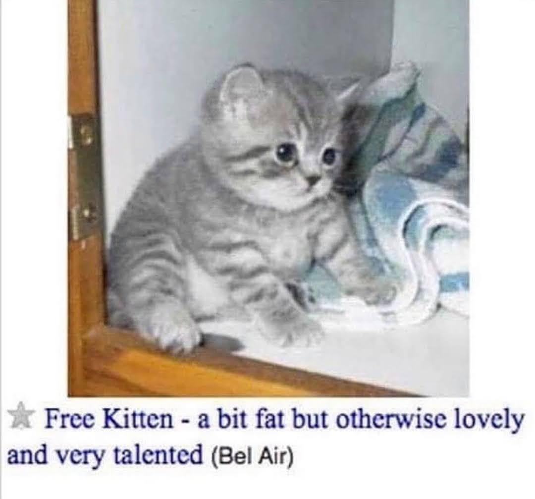 fat kit